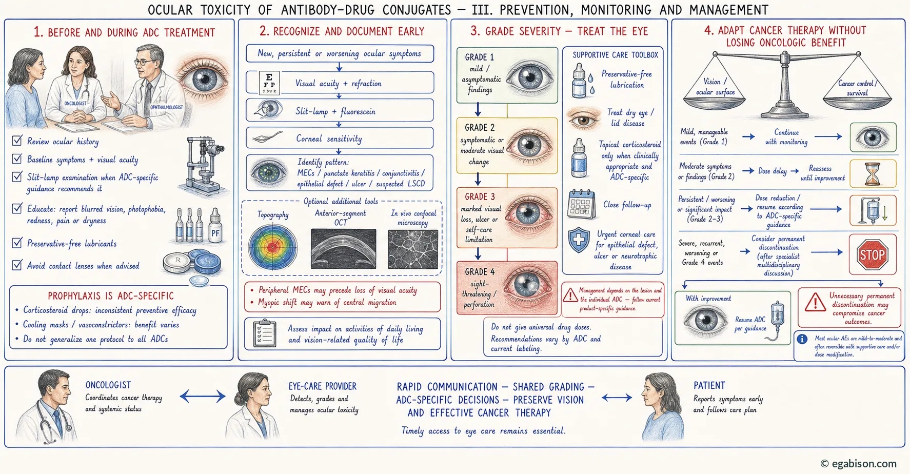 Plate III: prevention, monitoring and management of ADC-related ocular adverse events.