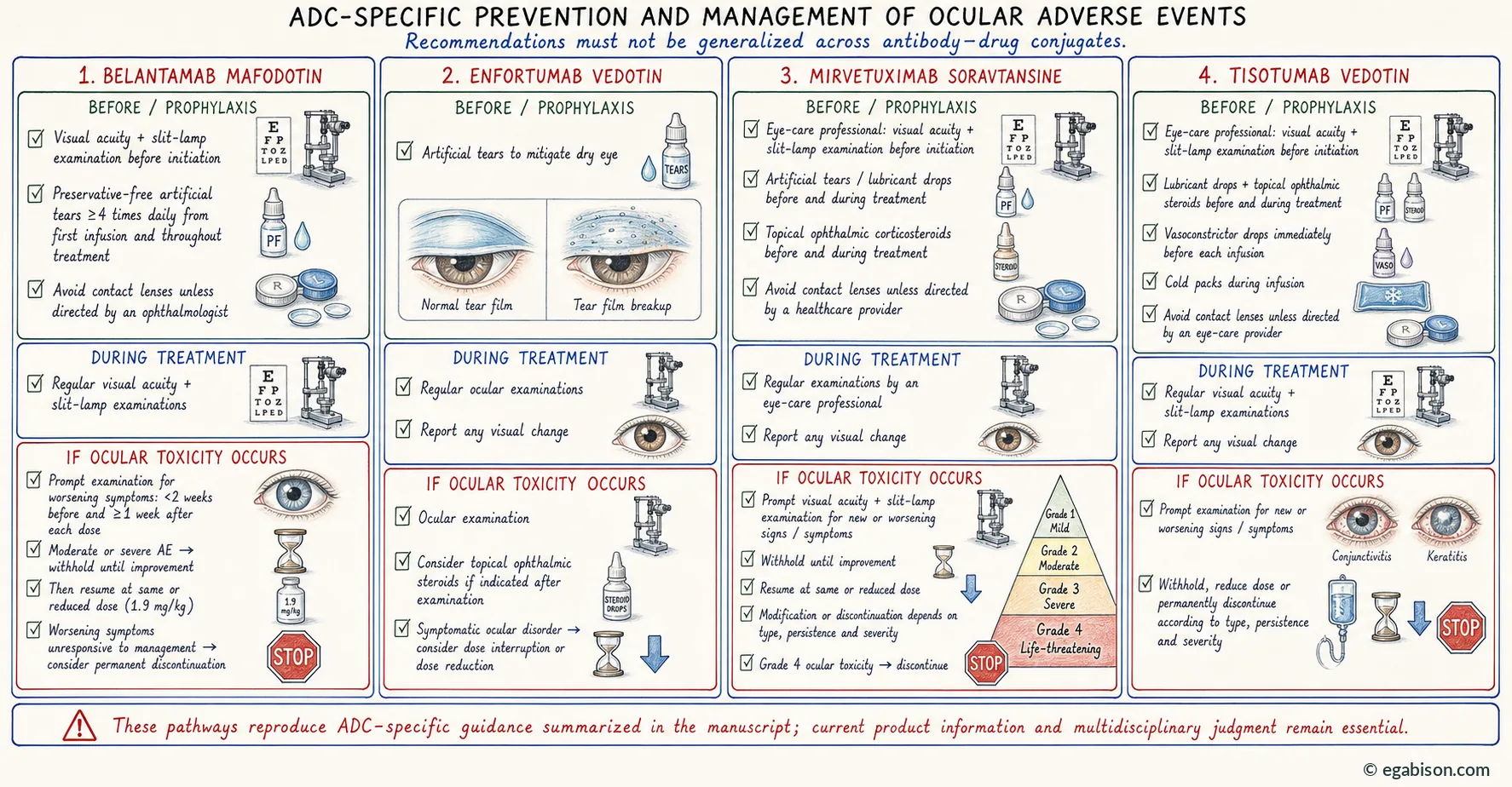 Plate: ADC-specific prevention and management for belantamab mafodotin, enfortumab vedotin, mirvetuximab soravtansine and tisotumab vedotin.