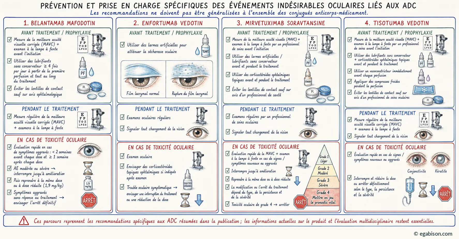 Planche : prévention et prise en charge ADC-spécifiques pour bélantamab mafodotine, enfortumab védotine, mirvétuximab soravtansine et tisotumab védotine.