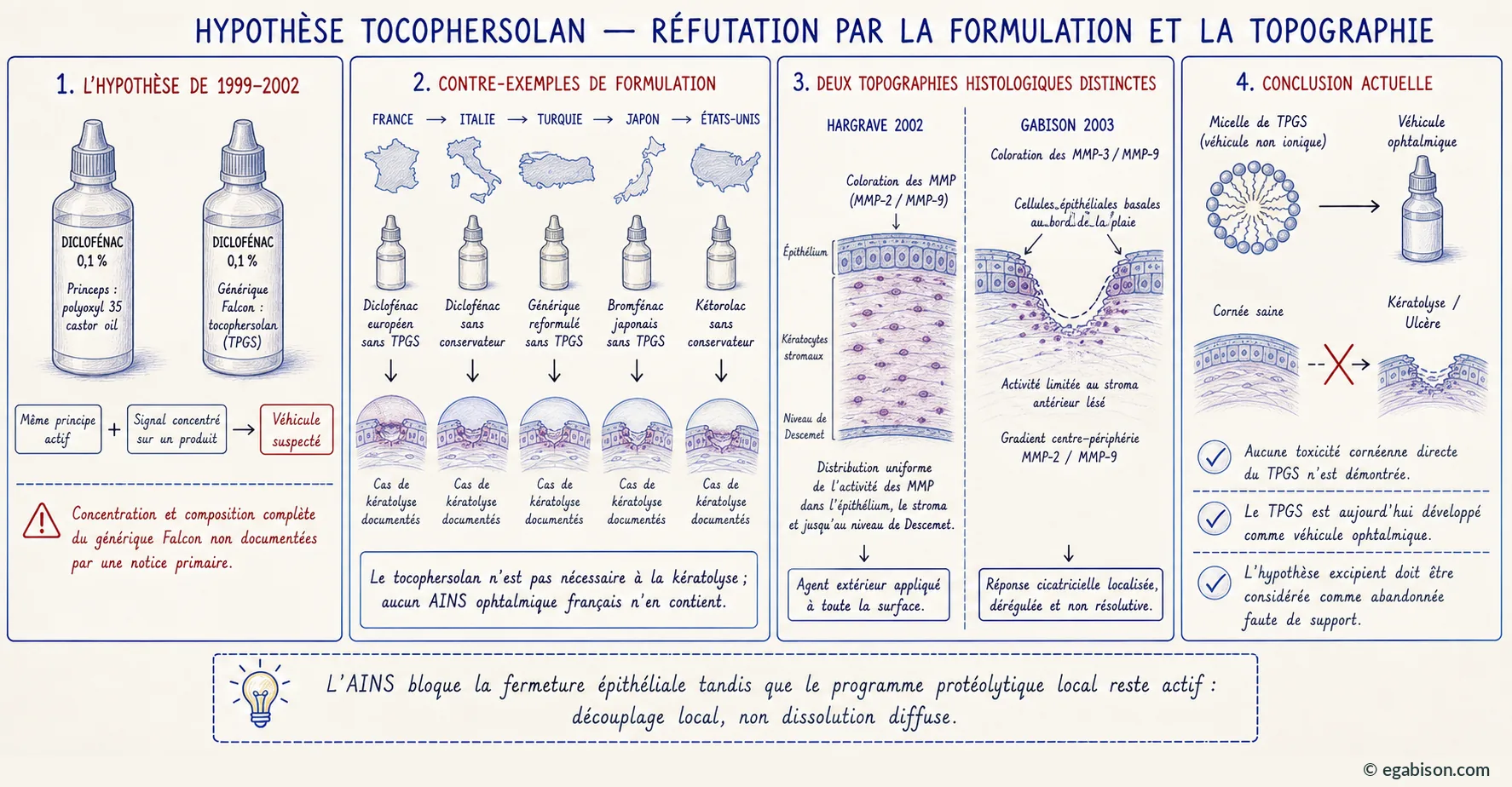 Réfutation de l'hypothèse tocophersolan : contre-exemples de formulation en France, Italie, Turquie, Japon et États-Unis, et comparaison des deux topographies histologiques de Hargrave 2002 et Gabison 2003